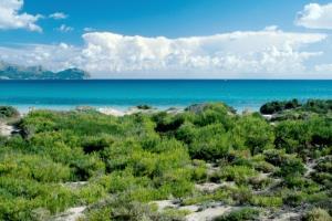 Hotel Benvinguts Port de Alcudia  Zewnętrze zdjęcie